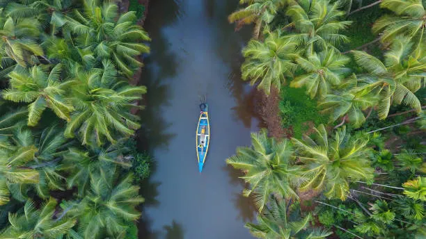 Kerala God's Own Country Landscape